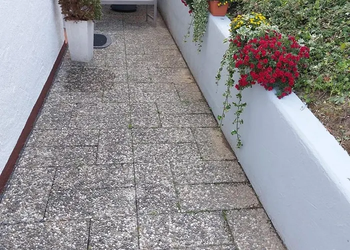 An Der Traumschleife *